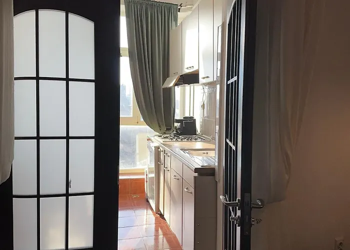 Downtown Calea Victoriei Apartamento