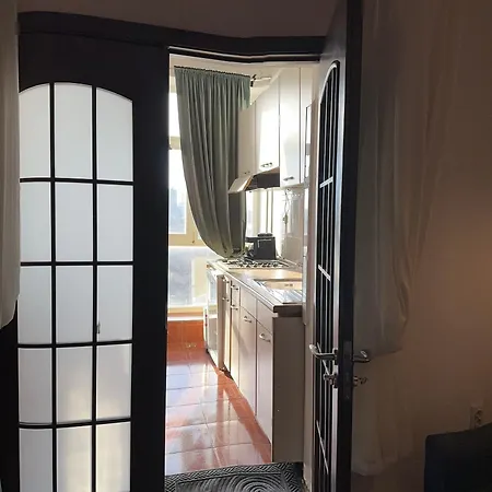 Downtown Calea Victoriei Apartment